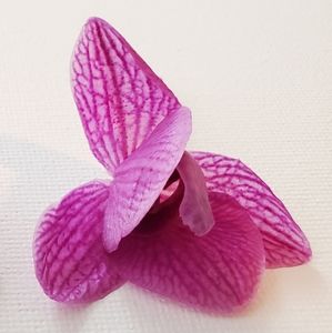 Meet your Posher, Simone